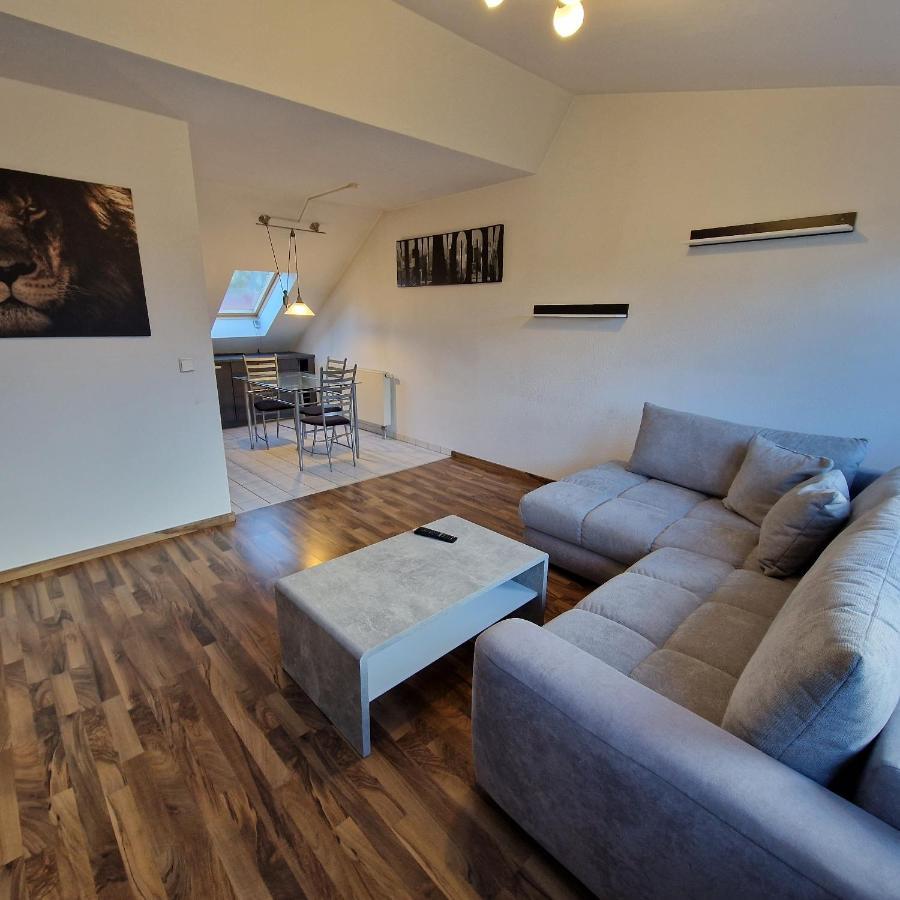Dm Hotels & Apartments - Apartment Dosborn 5-9 Dingelstadt エクステリア 写真